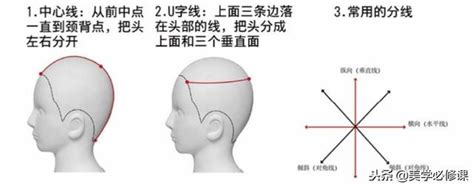 頭部七條基準線|剪吹造型能力本位訓練教材 基本剪法概論